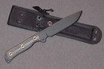 busse1.jpg