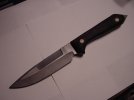 1984 chisel back.jpg