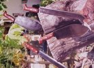 machetes -550.jpg