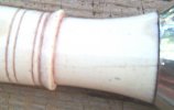 kothimoda - 1.jpg