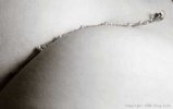 butt.jpg