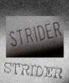 stamp.jpg