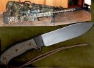 busse and accuracy.338.jpg