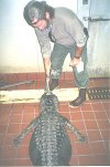 gator bill 2.jpg