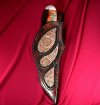 Akita blade forum 016.jpg