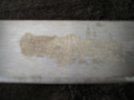 weird stain - tram 002.jpg
