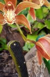 20170522_115058.jpg