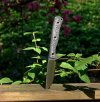 BUSSE-AMSLE27_zpsca61b8b8.jpg