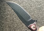 Busse BT6 3.JPG