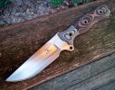 BUSSE-CustomShop_BATAC-v_zps24a01373.jpg