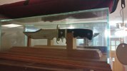 IMG_20170527_081825.jpg