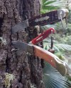 20170604_171543.jpg