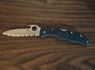 Spyderco C10SGYW Endura.JPG