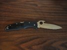 Spyderco C10SGYW Backside.JPG