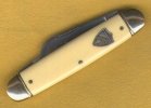 3D shield 1.jpg