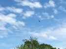 IMG_1805.JPG