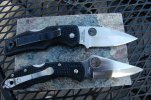 delica-and-native-001.jpg