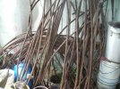Misc. Pics 252.jpg