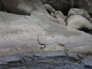 DSC07014.JPG
