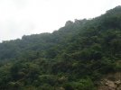 DSC07358.JPG