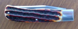 DSCF4765.jpg