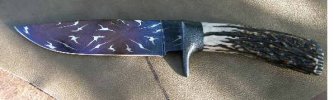 blue4.jpg