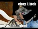 ebaykitteh.jpg