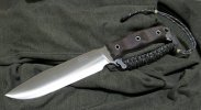 busse.nmsfno.jpg