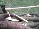 20170614_063422.jpg