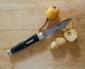 #38 loquat.jpg