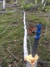 thumbnail_IMG_2897.jpg
