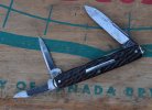 New York Knife Senator Whittler.jpg
