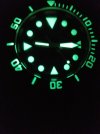 Helson Shark Diver CF 6.jpg