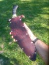 IMG_20170508_171752.jpg IMG_20170508_171752.jpg
