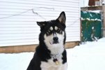 IMG_2254.JPG