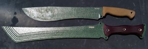 BB13 HognoseWS.jpg