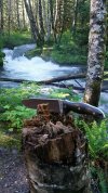 20170618_183734.jpg