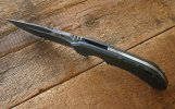 Olamic6.jpg Olamic6.jpg