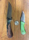 kiwi comparison.JPG