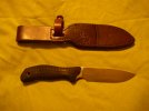 Swamprat Bog Dog with Armor All sheath 2.JPG