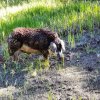 IMG_20170625_175928_361.jpg