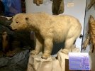 IMG_7497.jpg