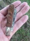 AW Walnut WB Lambsfoot 1-7.JPG