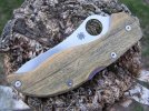 Lignum stretch.jpg