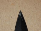CSC_0047.jpg