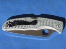 IMG_0036.jpg