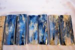 Three Wild Blue.jpg