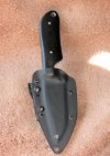 Spydie 1.jpg