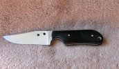 Spydie3.jpg