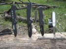 woods 019.jpg